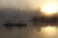 Brouillard au lever du jour (Somme)