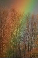 Arc-en-ciel (Flandres)
