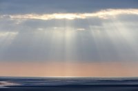 Baie d'Authie