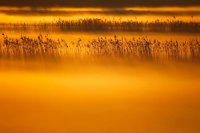 Baie de Somme