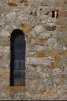 Chouette effraie (Bourgogne)