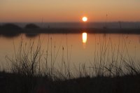 Lever de soleil (côte picarde)