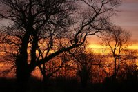 Coucher de soleil (Marquenterre)