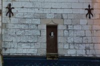 Effraie des clochers