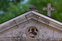 Effraie des clochers (Picardie)