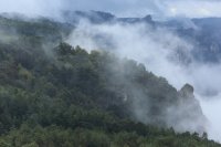 Gorges du Tarn (Lozère)