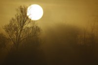 Lever de soleil (Somme)