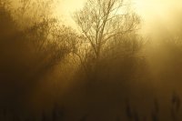 Lever de soleil (Somme)