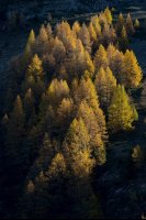 Parc des Ecrins (Hautes-Alpes)