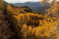 Parc des Ecrins (Hautes-Alpes)