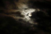 Pleine lune (Marquenterre)