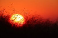 Soleil levant sur les Vosges