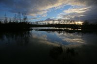 Somme