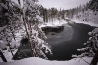 Taïga finlandaise