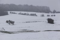 Thiérache ardennaise sous la neige